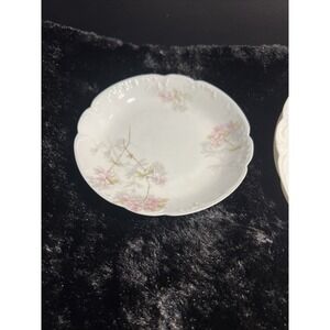 ANTIQUE 3 PC SET HAVILAND CHINA‎ 2 PLATES 1 SAUCER BEAUTIFUL PATTERN (981)